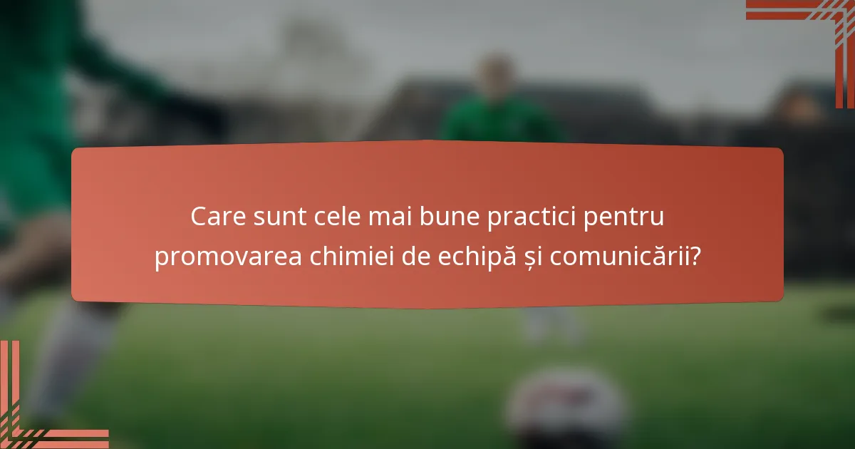 Care sunt cele mai bune practici pentru promovarea chimiei de echipă și comunicării?