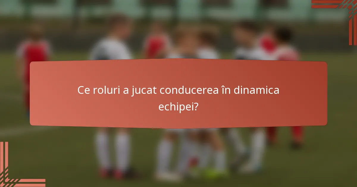 Ce roluri a jucat conducerea în dinamica echipei?